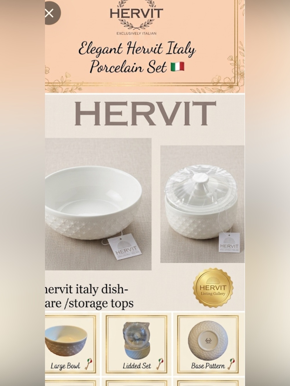 3-1 NEW hervit Italy ceramic dishware plastic lids from Italy